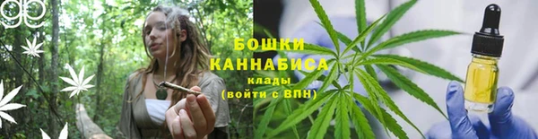 таблы Богородицк