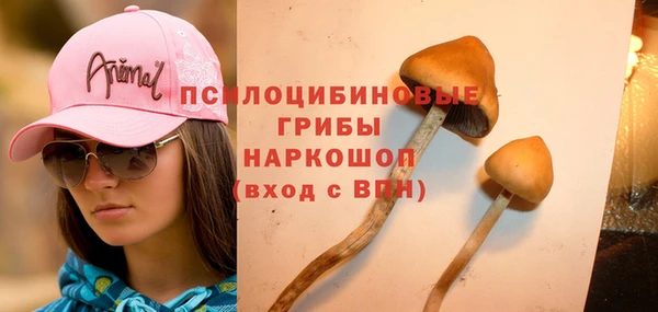 мескалин Богородск